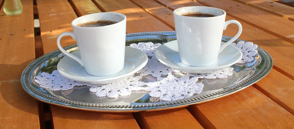 Guesthouse Edelnice Gornja Trepca Экстерьер фото
