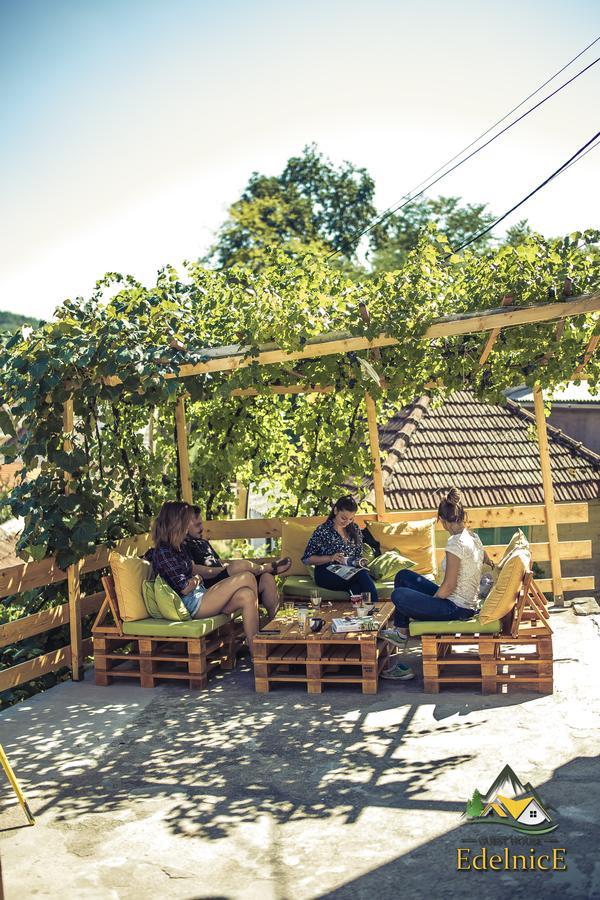Guesthouse Edelnice Gornja Trepca Экстерьер фото